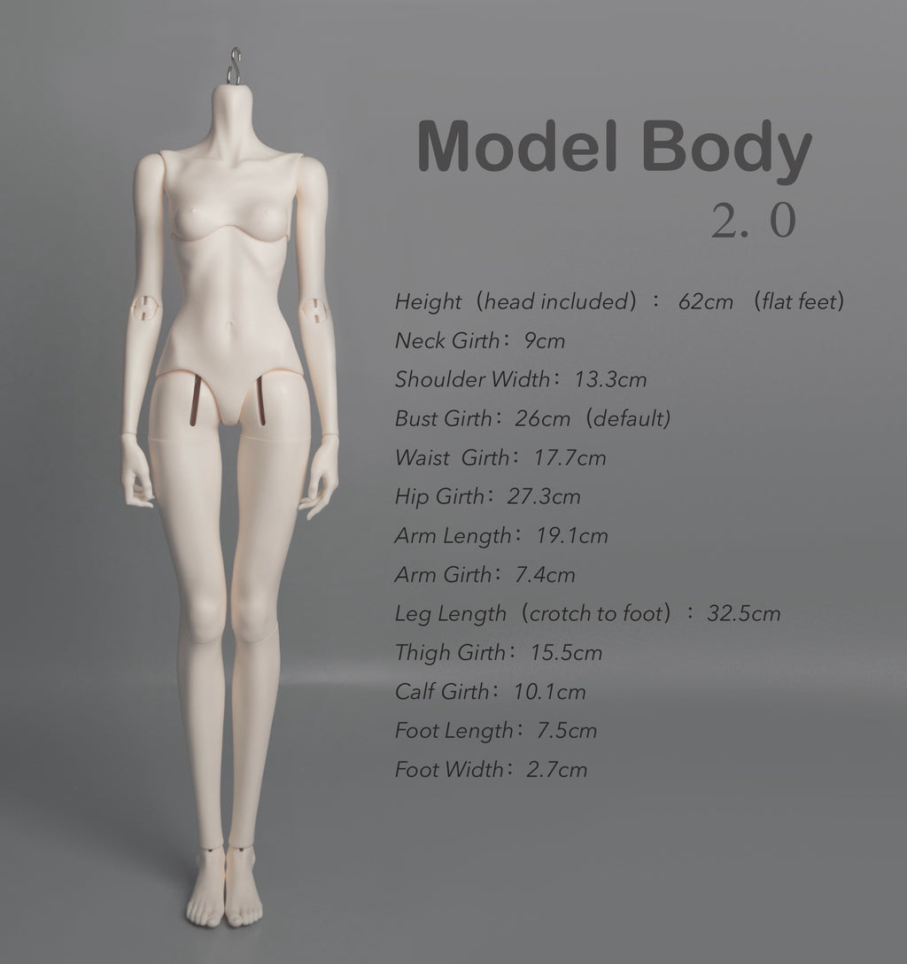 62 MODEL BODY