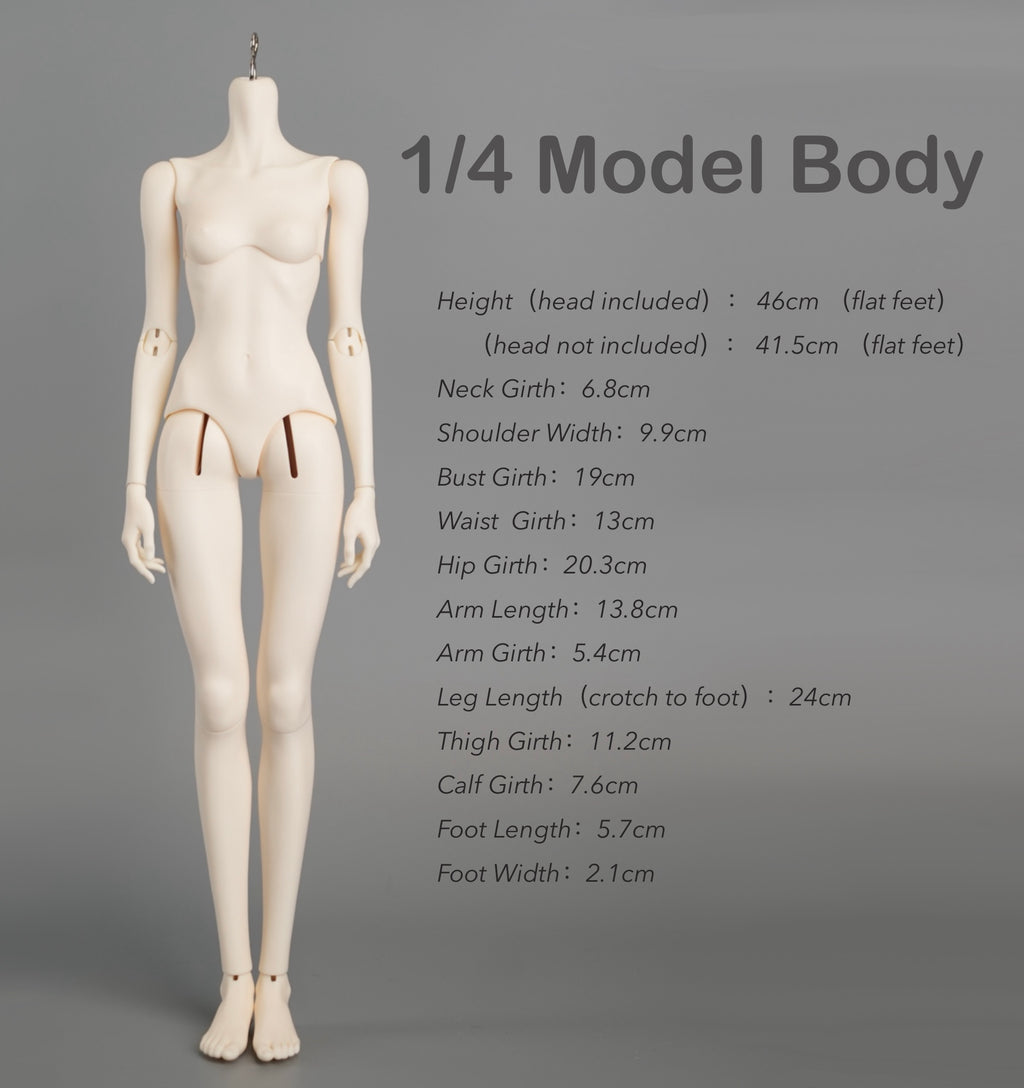 1/4 Body