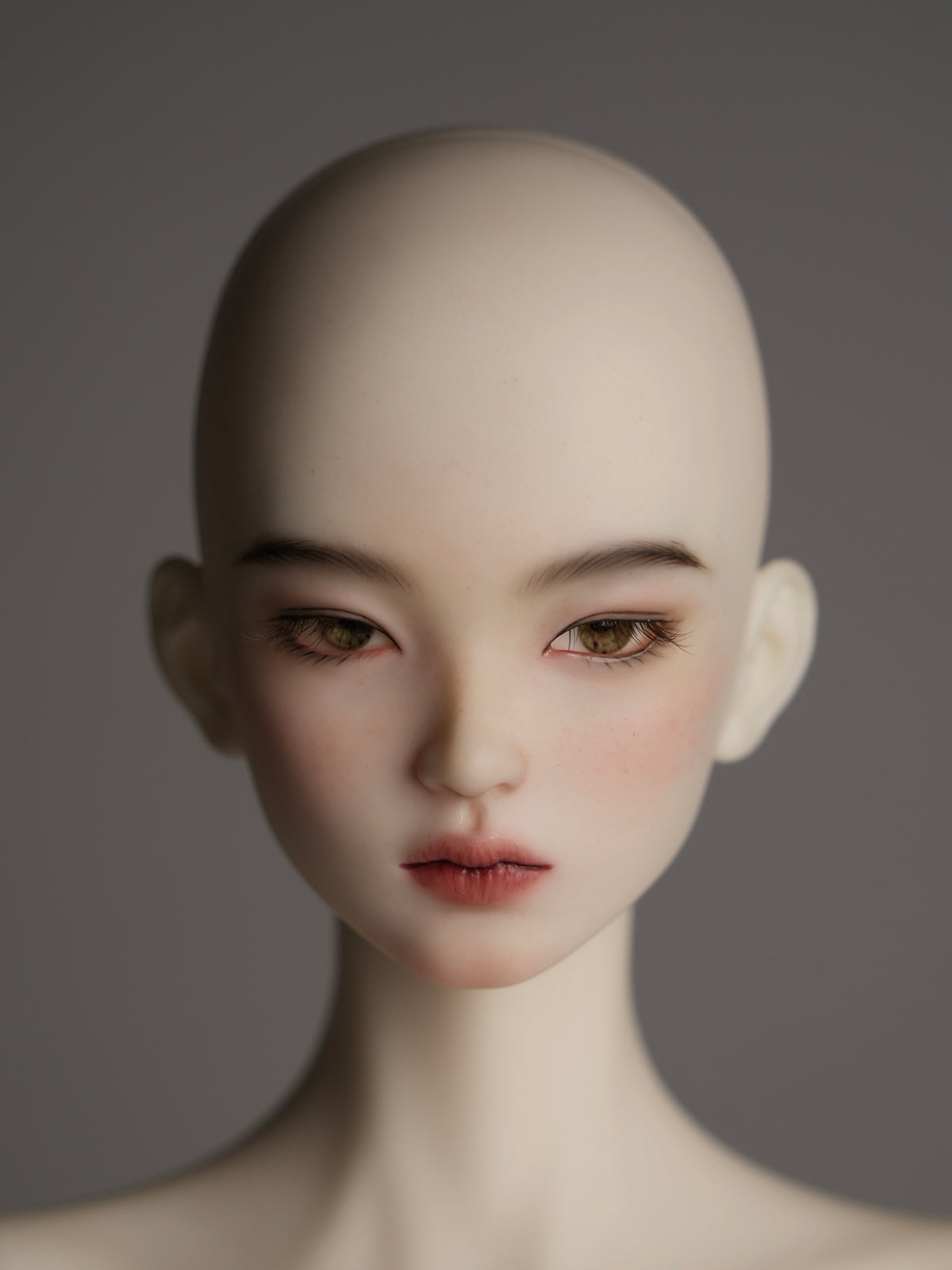 YUE 月 image 6