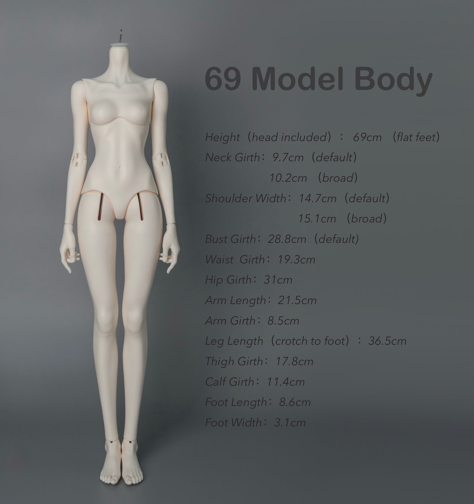 [Pre-order Now] 69cm Model Body