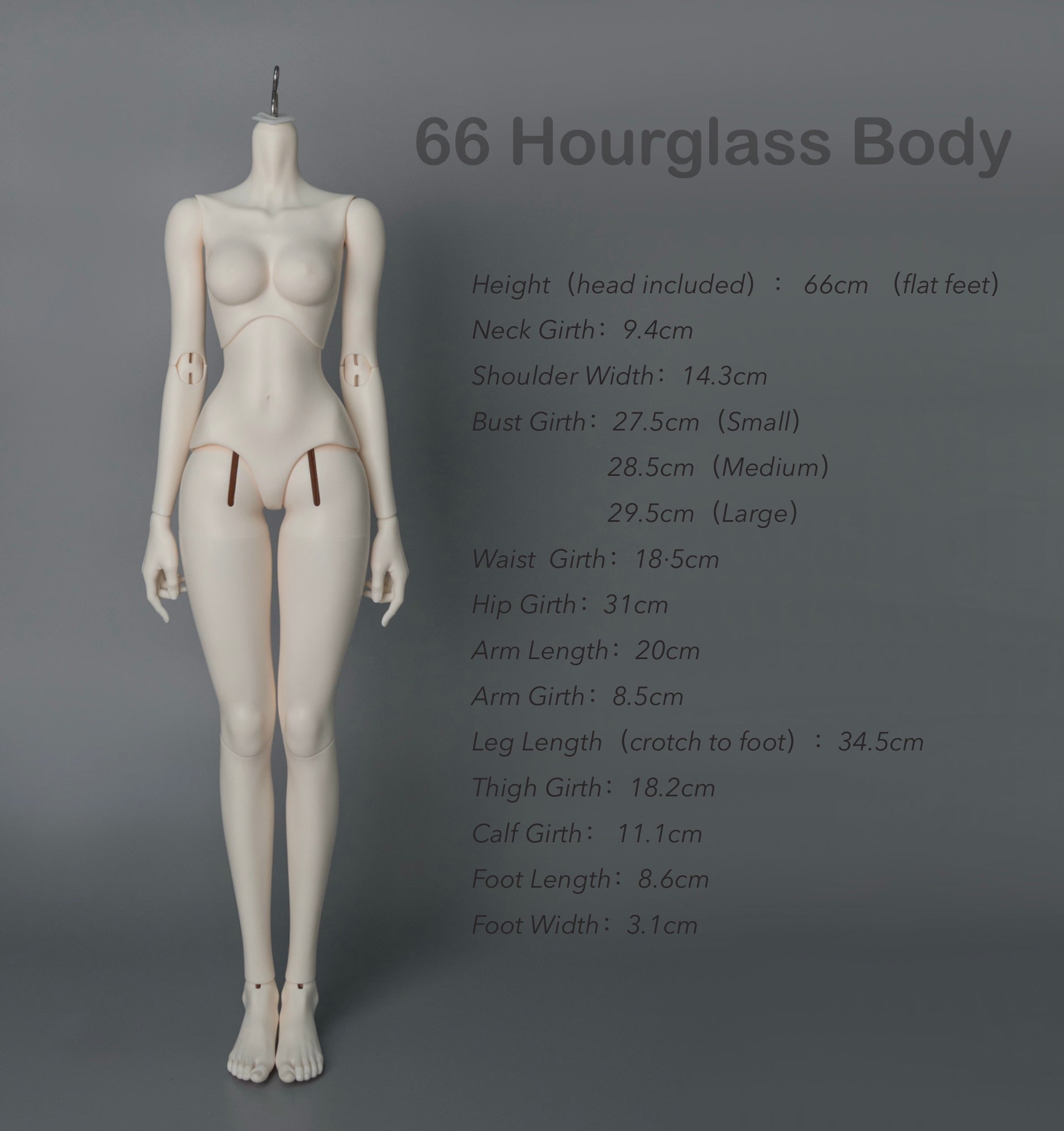 [Pre-order Now] 69cm Model Body