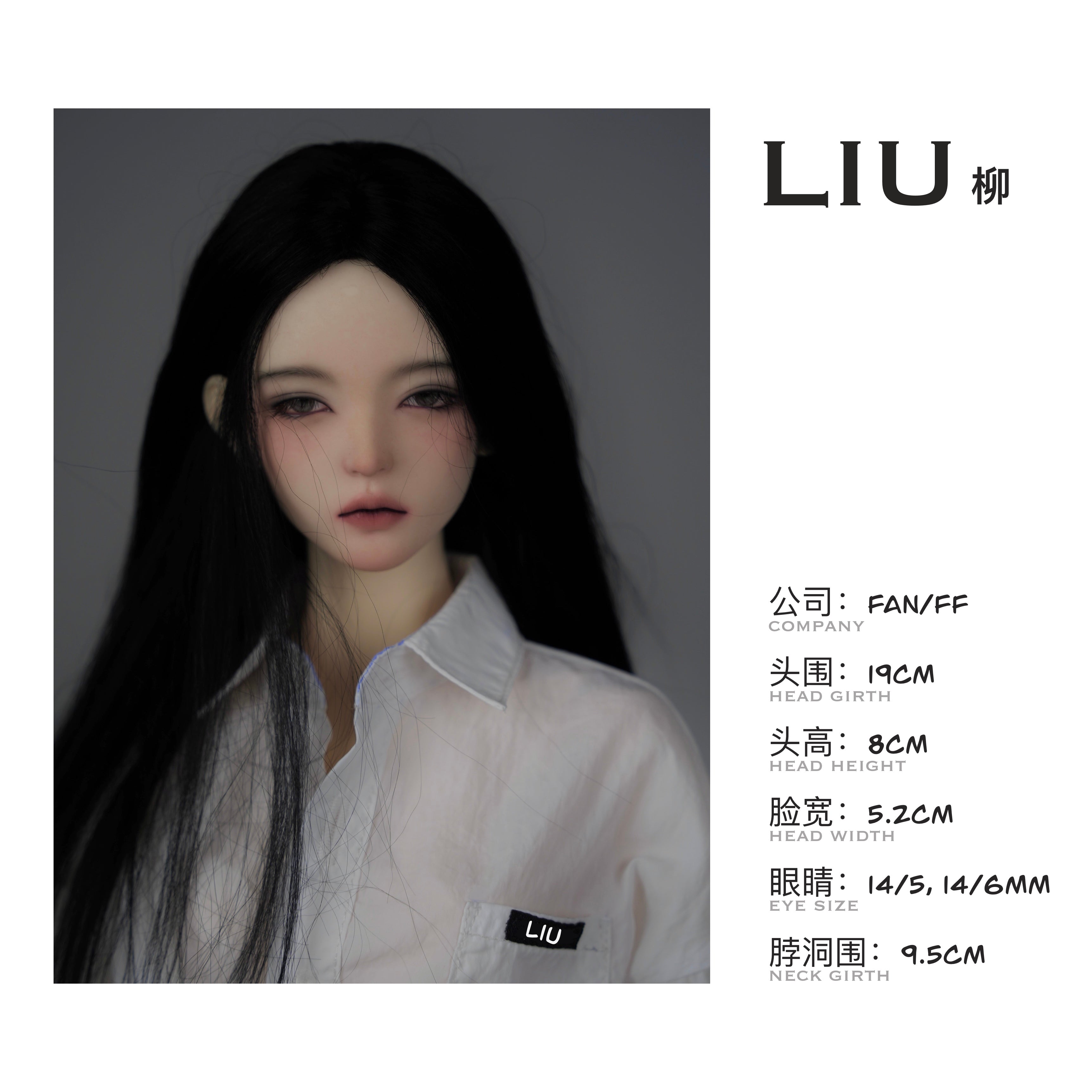 LIU 柳 image 3
