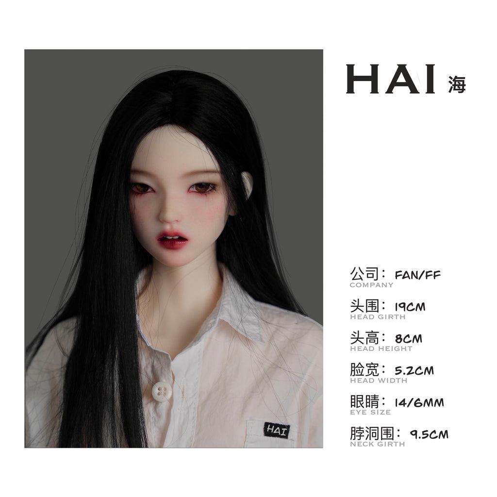 HAI 海 image 3
