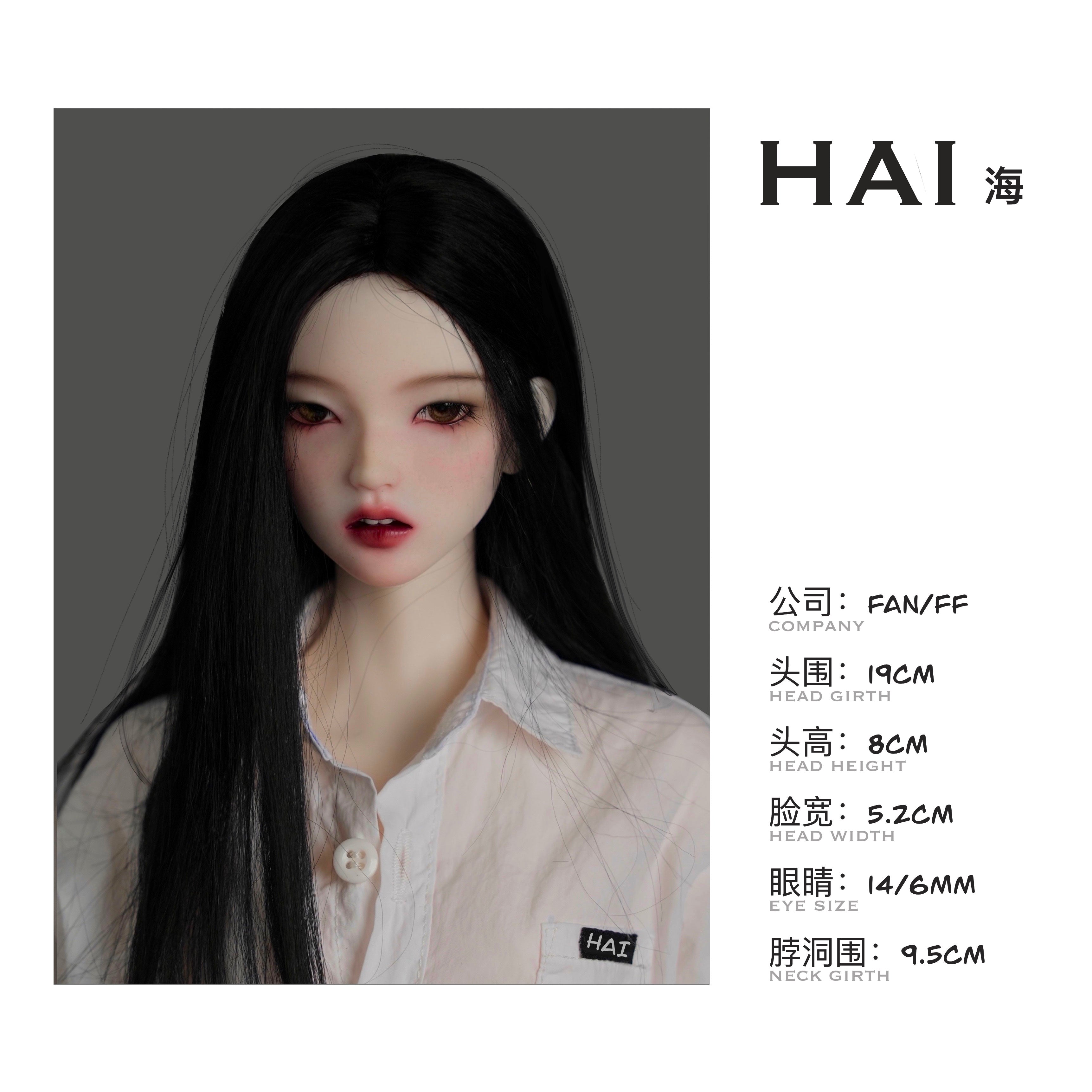 HAI 海 image 3